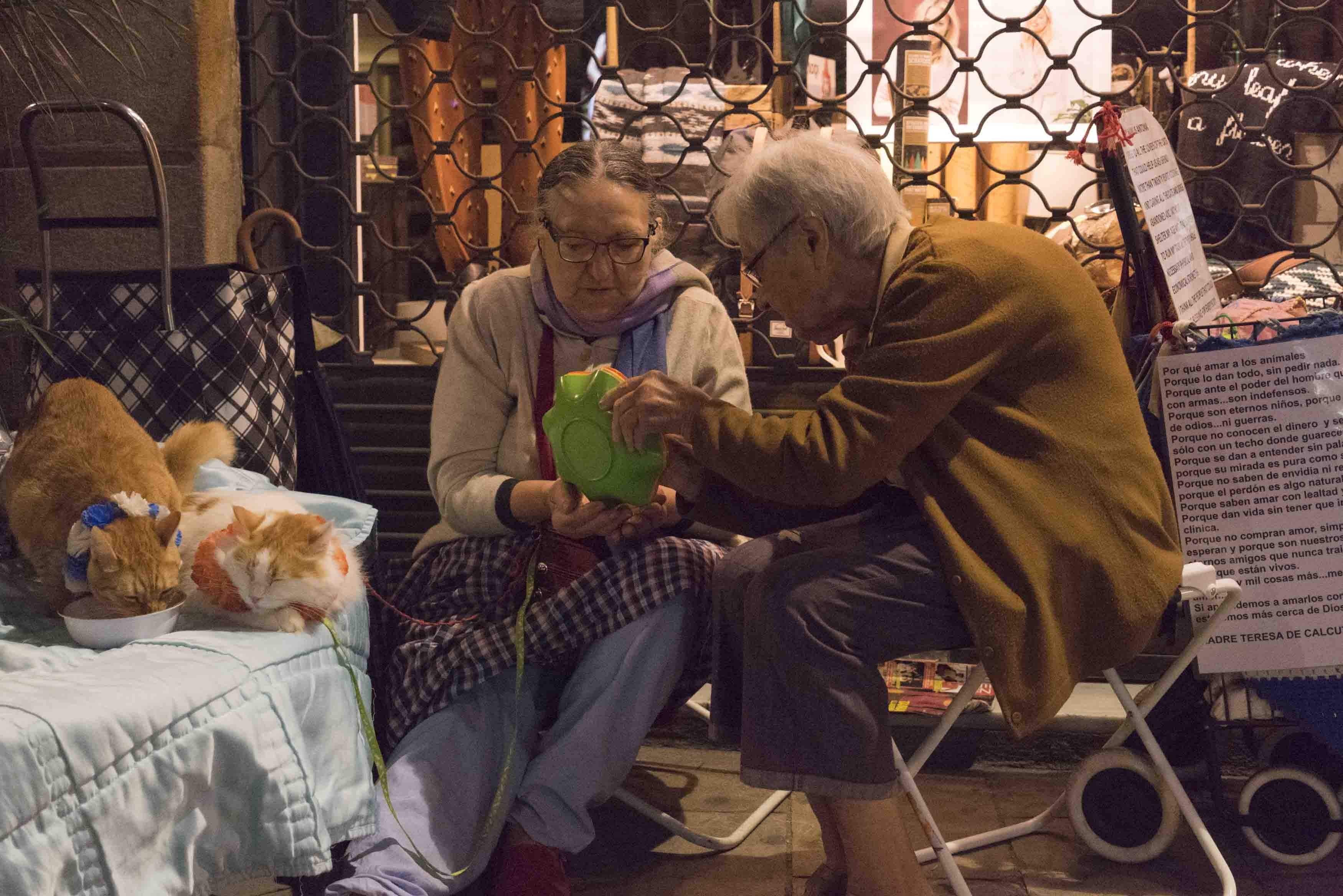 zwei alte Frauen sammeln mit ihren Katzen Geld für denTierschutz in Barcelona, Foto: Robert B. Fishman, 4.10.2014