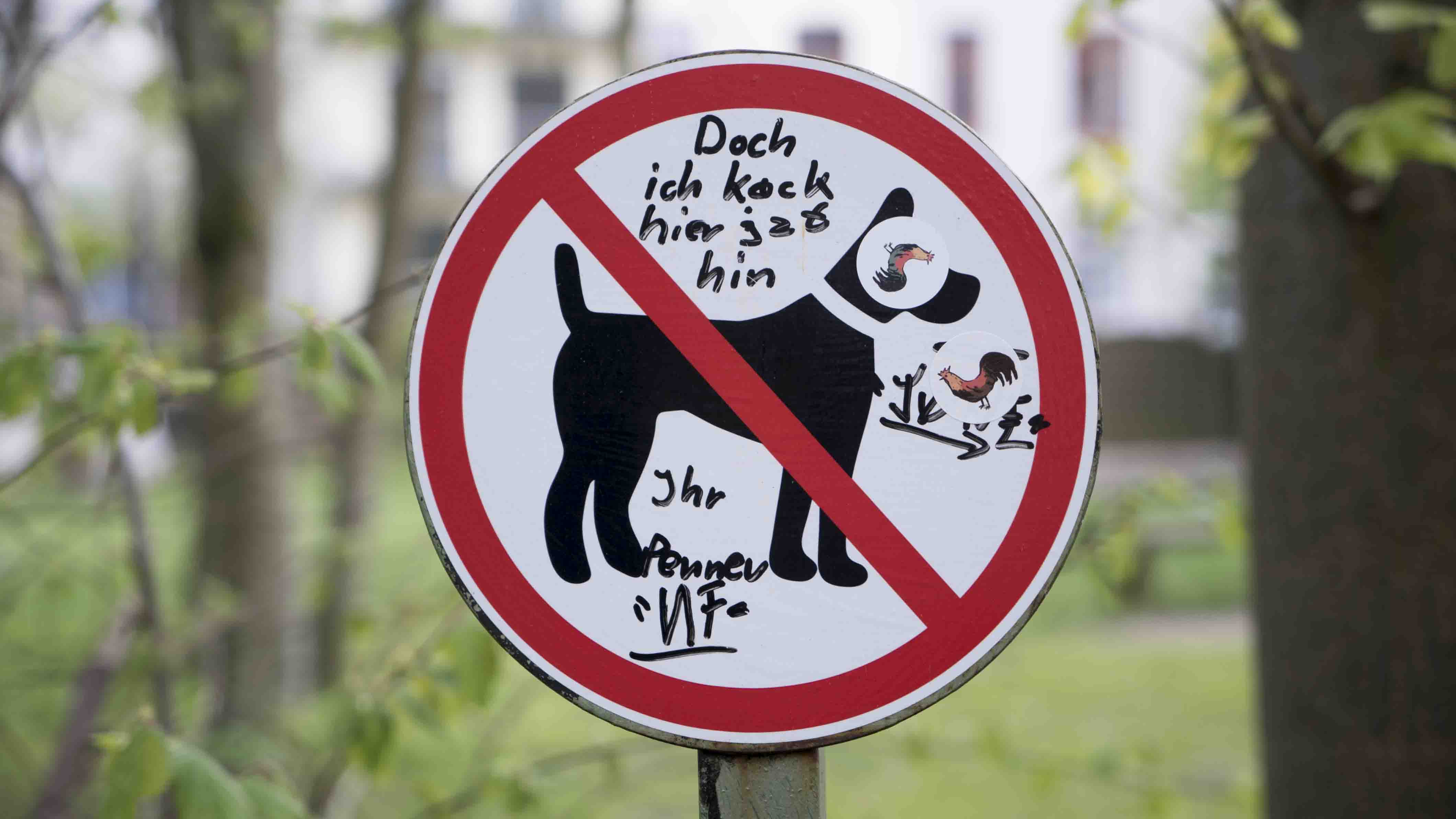 Hundeverbotsschild soscheescho