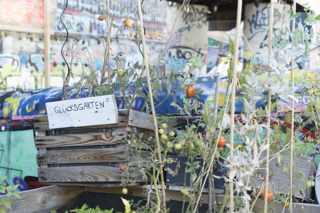 Kultur-Gelände Bahnwärter Thiel auf dem ehemaligen Schlachthofgelände in München mit Zwischennutzungsvertrag der Stadt bis Ende 2020: Glücksgarten / Cultural Area Bahnwaeter Thiel on former abbatoir in Munich, temporarly permitted until the end of 2020: Garden of Happiness, 20.9.2019, Foto: Robert B. Fishman