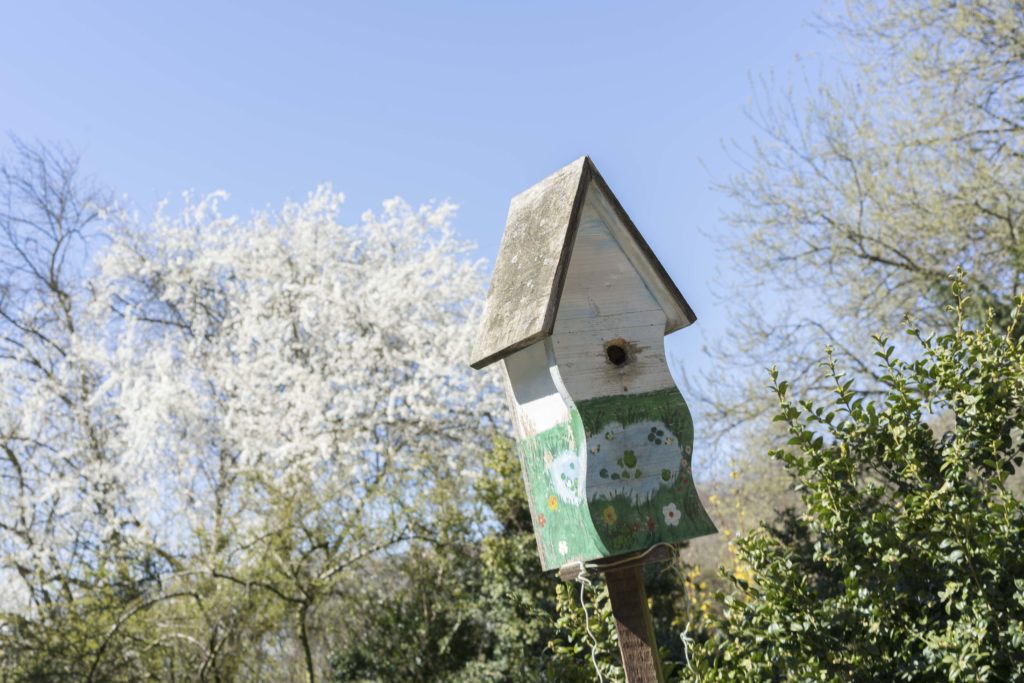 Nistkasten für Vögel in der Landschaft / nesting box for birds in the landscape, 22.3.2020, Foto: Robert B. Fishman